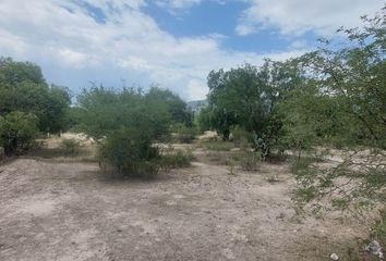 Lote de Terreno en  Tecamachalco Centro, Tecamachalco