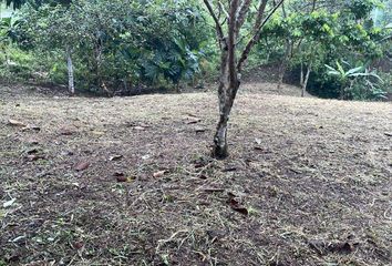 Terreno Comercial en  Puerto Quito, San Miguel De Los Bancos