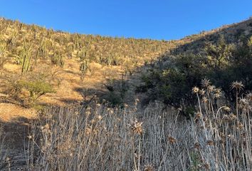 Parcela en  Isla De Maipo, Talagante