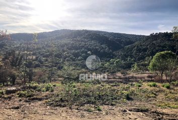 Lote de Terreno en  Cruz Verde, Tapalpa, Jalisco, Mex