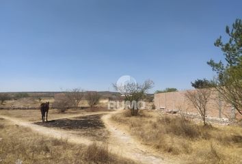 Lote de Terreno en  Lagos De Moreno-san Juan De Los Lagos, Torrecillas, Jalisco, México