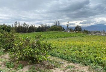 Terreno Comercial en  Guayllabamba, Quito, Ecuador