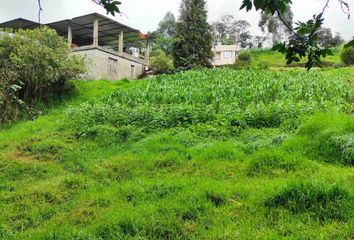 Terreno Comercial en  Amaguaña, Quito