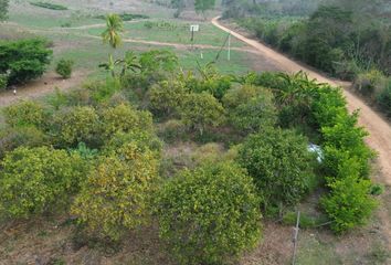 Terreno en  Carretera Mayopampa, Tarapoto, Perú