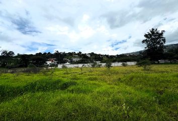 Terreno Comercial en  Tumbaco, Quito