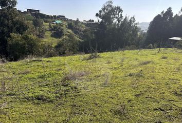 Parcela en  250, Puchuncaví, Valparaíso, Chl