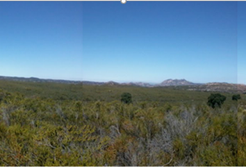 Lote de Terreno en  Rancho Las Juntas, Camino Alegre, Tecate, Baja California, México