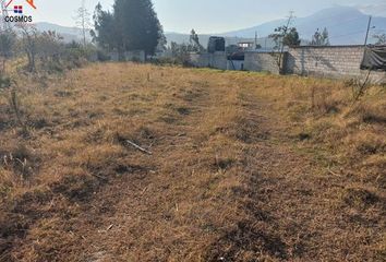 Terreno Comercial en  Calpaqui, Eugenio Espejo, Otavalo, Ecuador