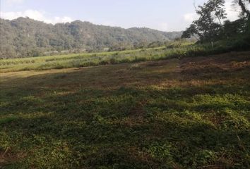 Lote de Terreno en  Club Residencial Campestre, Córdoba, Veracruz