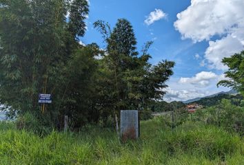 Terreno en  Sector Coperholta, Pje. Los Ciruelos, Tarapoto, Perú