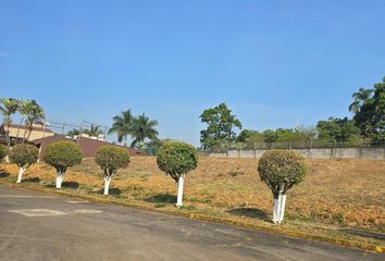 Lote de Terreno en  Fortín De Las Flores Centro, Fortín