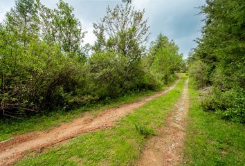 Lote de Terreno en  Los Azufres, Michoacán, México