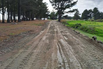 Parcela en  Acceso A Curaquilla, Miramar, Arauco, Chile