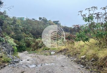 Lote de Terreno en  Circuito Del Lince Ote, Zapopan, Jalisco, 45237, Mex