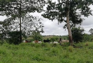 Hacienda-Quinta en  Santo Domingo De Los Tsáchilas, Ecuador