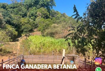 Villa-Quinta en  Betania, Palermo, Huila, Col