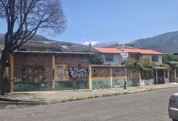 Casa en  Joaquín Ruales & N.arellano, Quito, Ecuador