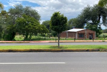 Lote de Terreno en  Carretera Morelia - Salamanca, El Embarcadero, Cuitzeo Del Porvenir, Cuitzeo, Michoacán De Ocampo, 58840, Mex