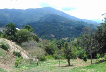 Lote de Terreno en  Conjunto Residencial Coinca, Armenia