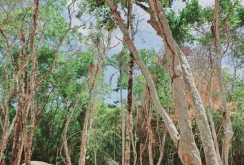 Lote de Terreno en  Aruma, Tulum Centro, Tulum, Quintana Roo, México