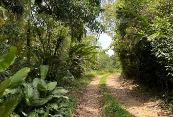 Lote de Terreno en  Matanza, Santander