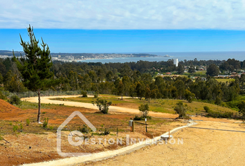 Parcela en  Camino Del Medio, Algarrobo, San Antonio, Valparaíso, 2710000, Chl