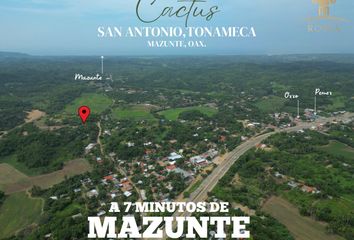 Lote de Terreno en  San Antonio, Santa María Tonameca, Oaxaca, Mex