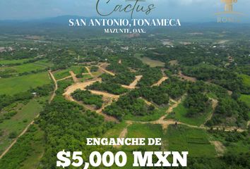 Lote de Terreno en  San Antonio, Santa María Tonameca, Oaxaca, Mex