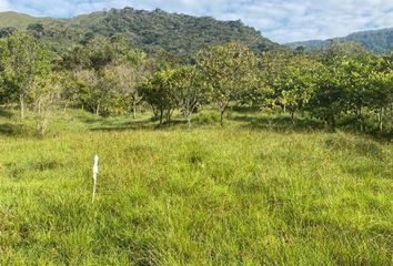 Lote de Terreno en  San Rafael, Antioquia