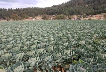 Lote de Terreno en  Centro De Salud Los Saúcos, Mz 002, Los Saucos, Estado De México, México