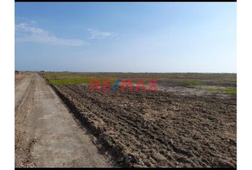 Terreno en  Paijan, Ascope