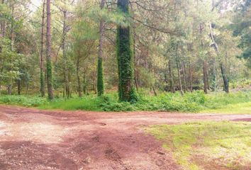 Lote de Terreno en  Carretera T.c., Pitorreal, Charo, Michoacán De Ocampo, 61324, Mex