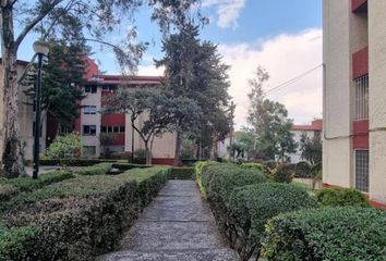 Departamento en  Fuentes Del Pedregal, Tlalpan, Cdmx