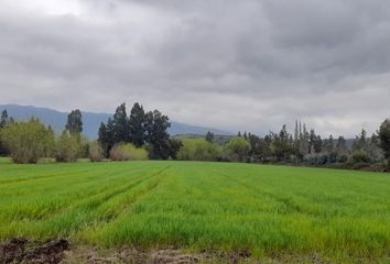 Parcela en  Santa Cruz, Colchagua