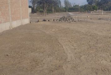 Terreno en  La Arboleda, Carabayllo, Perú