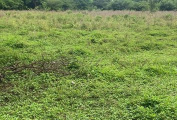 Lote de Terreno en  Puente Moreno, Medellín