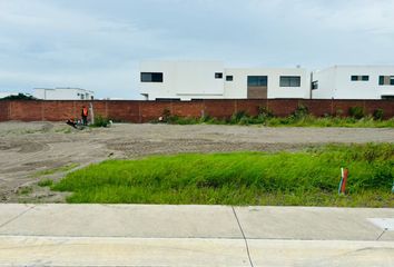 Lote de Terreno en  Punta Tiburón, Veracruz, México