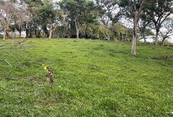 Lote de Terreno en  Porterillo, Palmira