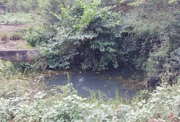 Lote de Terreno en  Los Pinos, Fortín De Las Flores