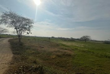 Terreno Comercial en  La Puntilla (satélite), Samborondón