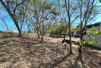 Lote de Terreno en  Jalpan De Serra, Querétaro
