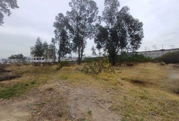 Terreno Comercial en  Calderón, Quito