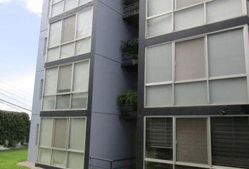 Departamento en  Lomas De Cortes, Cuernavaca, Morelos, México