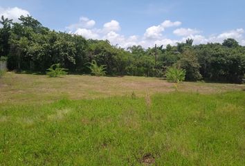 Lote de Terreno en  Rancho O Rancheria Amatlán De Quetzalcoatl, Tepoztlán