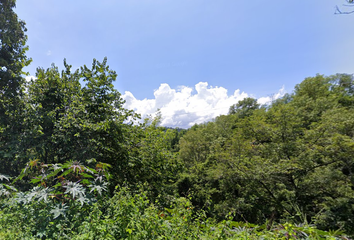 Lote de Terreno en  Santa María Pipioltepec, Estado De México, México