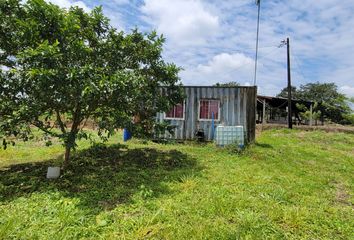 Hacienda-Quinta en  2qrv+78 Puerto Quito, Ecuador