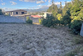 Terreno Comercial en  Tumbaco, Quito