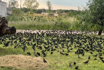 Lote de Terreno en  Jardindes De La Victoria, Silao