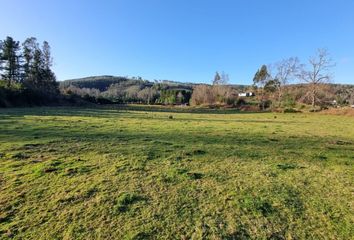 Parcela en  Lipingue, Los Lagos, Los Ríos, Chile