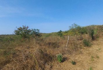 Hacienda-Quinta en  El Mate, San Lorenzo, Provincia Del Guayas, Ecuador